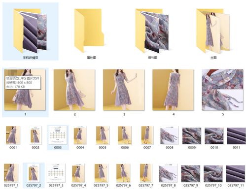 嗶哩嗶哩專欄 多元創(chuàng)作生態(tài)下的專業(yè)內(nèi)容高地